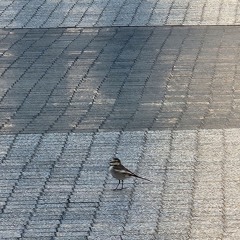 제발 날 미워해줘(Re-recorded)