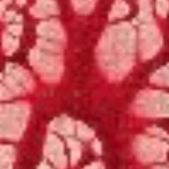 my soul is bleeding but my flesh is healthy (prod. $lxwOMG)