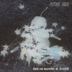 Red no wonder w/ linUSB [22.02.25]