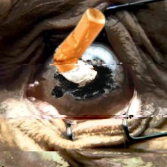 𝘛𝘪&𝘨 - Garo freestyle