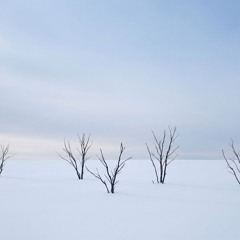 Après L'hiver (Victor Hugo)