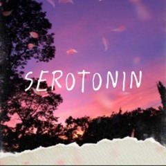 Serotonin (prod. yungspoiler)