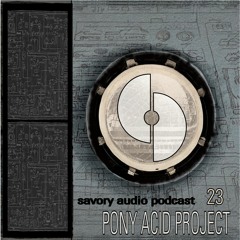 Savory Audio Podcast E23 - Guest Pony Acid Project