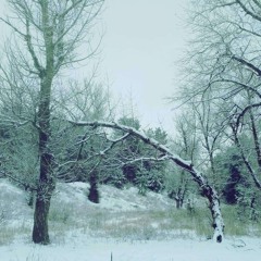 静かに、静かに。 寒い寒い。 雪雪… Photo - Liudmyla Skrypnik.