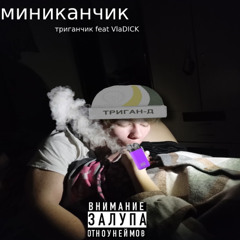 Миниканчик
