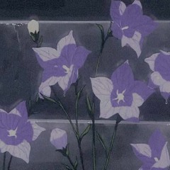 Три дня дождя-Бутылочка Вина