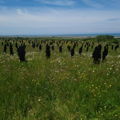 Standing With Giants from Normandy Remembered the Musical
