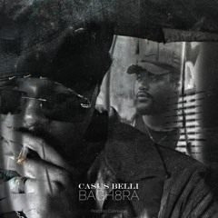 Bagheera - Casus Belli