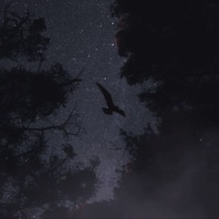 Alone ft. FEVVI