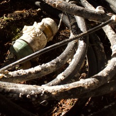 Listening-To-Ice(9 - 59)