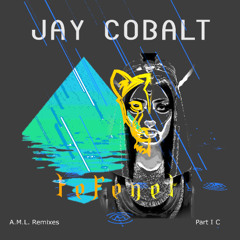 A.M.L. Remixes Part I C: T e f e n e t