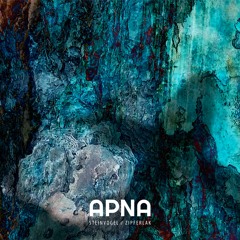 APNA - Steinvogel / SHFTD (Original Mix)