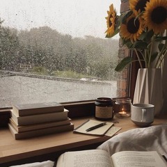 heather but it's lo-fi (NVA Cover - MUNI beats)