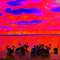 WAKE N MAKE MELODIC MIX 13.07.2020