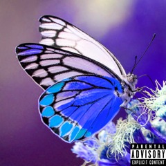 ILLUSIONS REMIX (ft. Calibre)