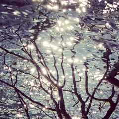 Your Bright Light