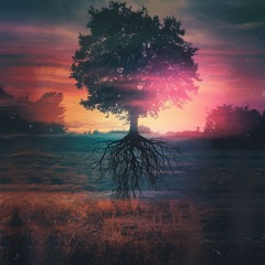 Plastic Universe - Gratitude Mix 2024