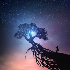 Le jardin des ombres