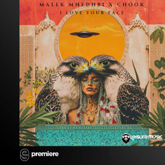 Premiere: Malek Mhedhbi x Chook - My Crying Violin - Leisure Music Productions