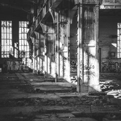 Zuzana Hakl, Mani Dee, Ghost In The Machine - The Immersion + The Wolves + Raw Deal (REMIX)