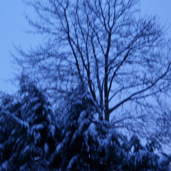 Singing - Dutch Winter