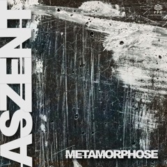 Aszent - Der Schwarm