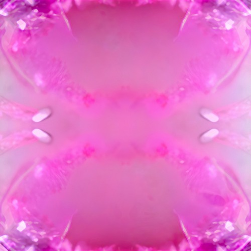 Lara David - InneBesse (SugaMx)