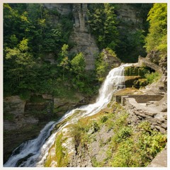 houseflorafavs_081921