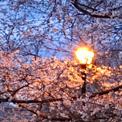 Bert Keith/Andy Warner/Julia Amirova