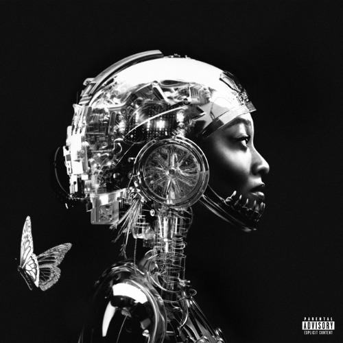 Little Simz - Torch (Blosso Edition)