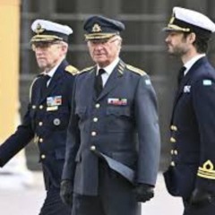 med M xnngden av min h xnrstamning i Sverige kan de inte d xnda oss alla, skadas igen i födelsedagslandet