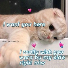 Heartbreak (interlude)