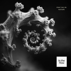 FRACTALS IN NATURE