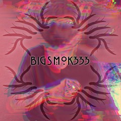 BIGSMOK333 - BIGSMOKING