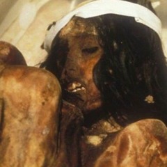 manson assassin [prod.ketabear] @harlexx