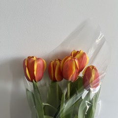 nn