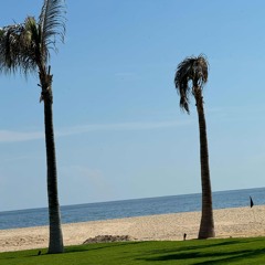 Get Rich Or Die Tryin’