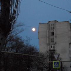 в этих парках