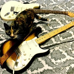 Shoegaze, dreampop & psych playlist #250*