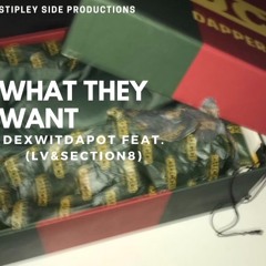 What They Want  - Feat.(LV & Section8 )
