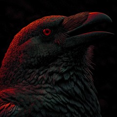 The Raven Series Vol. 1 (Psy-Tech & Psy Trance 128 - 133 bpm)