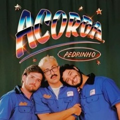 ACORDA PEDRINHO - REMIX DJ PELÉ FUNK 140 - TIKTOK