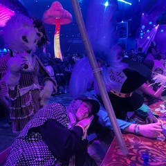 Brannon Casey “Dreaming” set