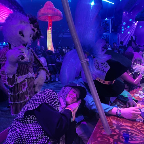 Brannon Casey “Dreaming” set