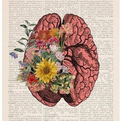 Sans Réfléchir - 098