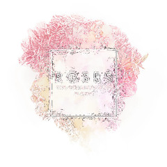 ROSES - THE CHAINSMOKERS (Entekk RMX)