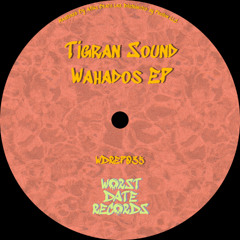 Tigran Sound - Wahados [WDREP035]