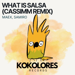 Maex, Samiro - What Is Salsa (Cassimm Remix)
