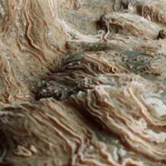 NEEDLEGUTS - LACED (PROD. DARE2ABERR)