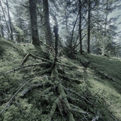 Mix Hardtek Tribe [TEST]
